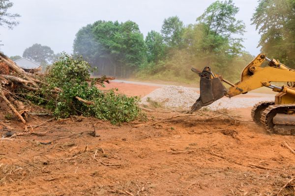 Forestry Mulching Service in Lafayette