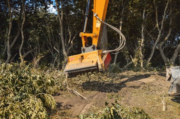Brush Removal Service in Lafayette