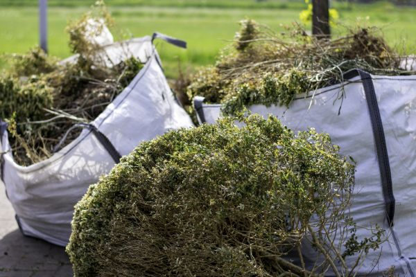 Bushes Clearing in Lafayette