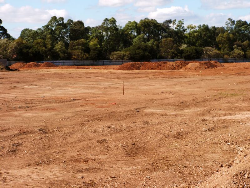 Final Land Clearing Result